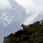 Baltistan Mountain view 10