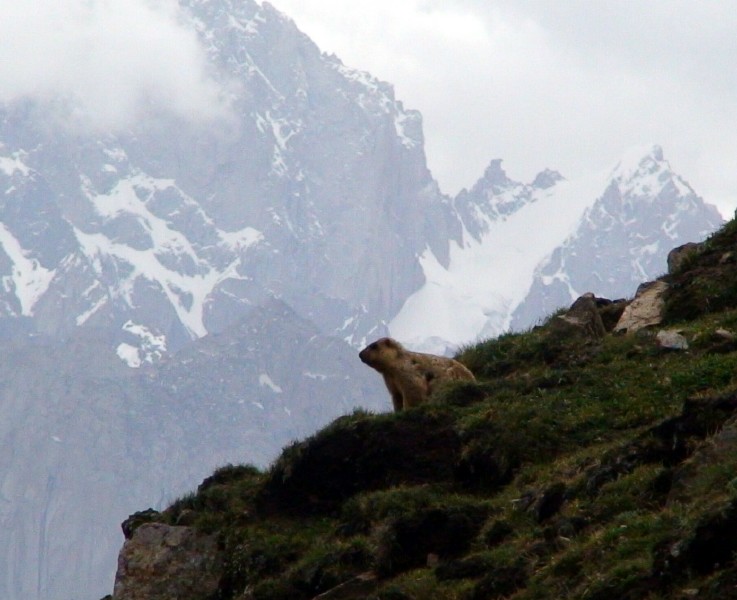 Baltistan Mountain view 10
