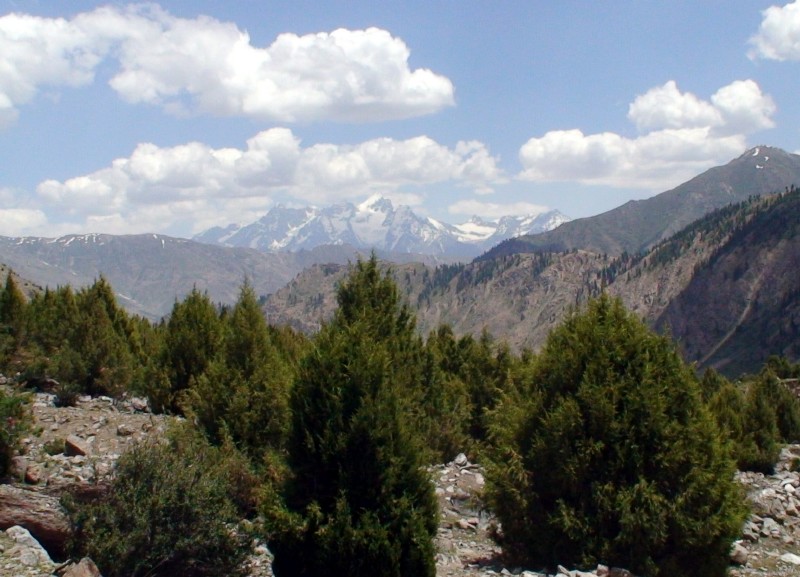Nanga Parbat Mountains 3