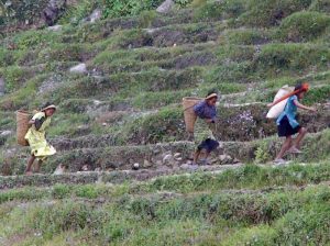 Langtang Trek People 3