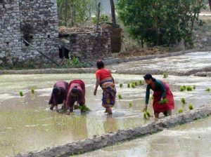 Langtang Trek People 4