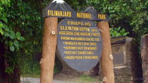 Summit Kilimanjaro