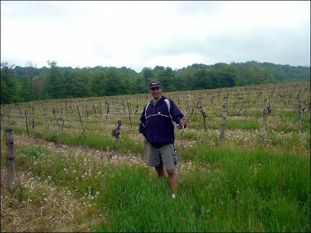 Bruce Trail Photos