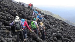 Sicily Oxen Hike