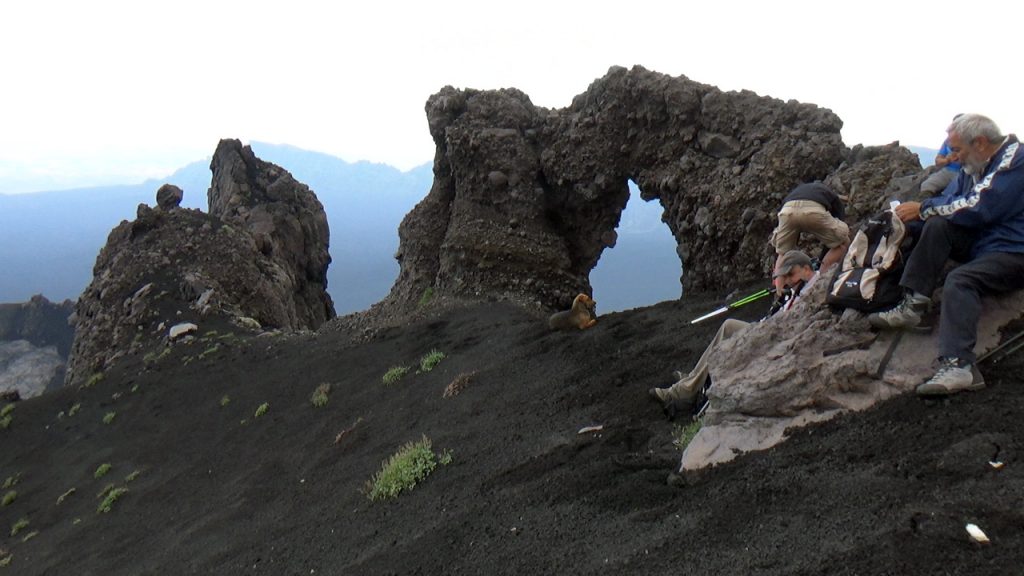 Sicily Oxen Hike