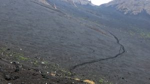 Sicily Oxen Hike