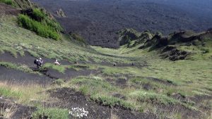 Sicily Oxen Hike