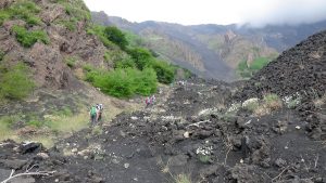 Sicily Oxen Hike