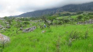 summit mt binga