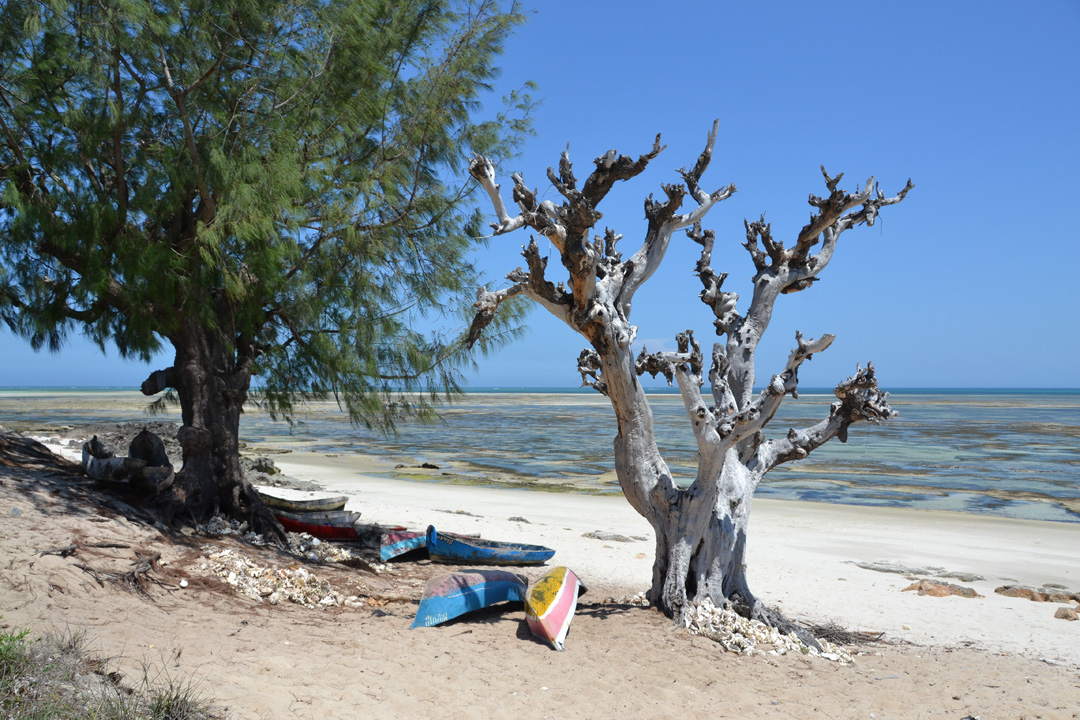 mozambique island snorkeling