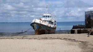 mozambique island snorkeling