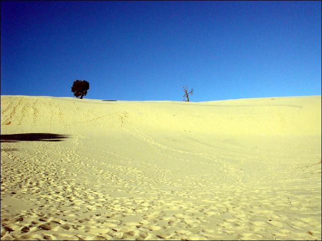 moreton island hike