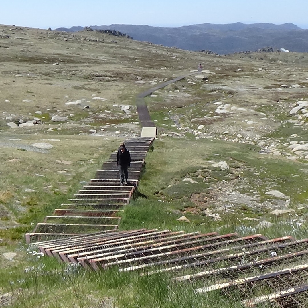 Thredbo