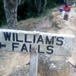 Williams Falls Sign