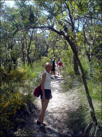 Noosa Everglades canoe trip