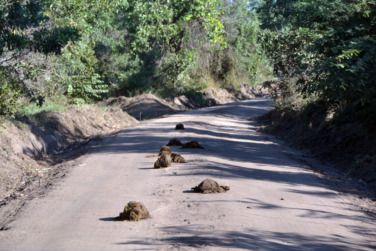 Majete Game Reserve