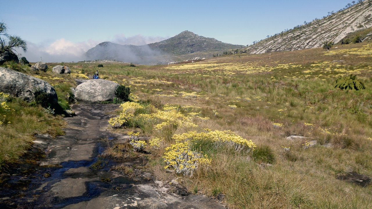 Mulanje Grand Traverse Trek