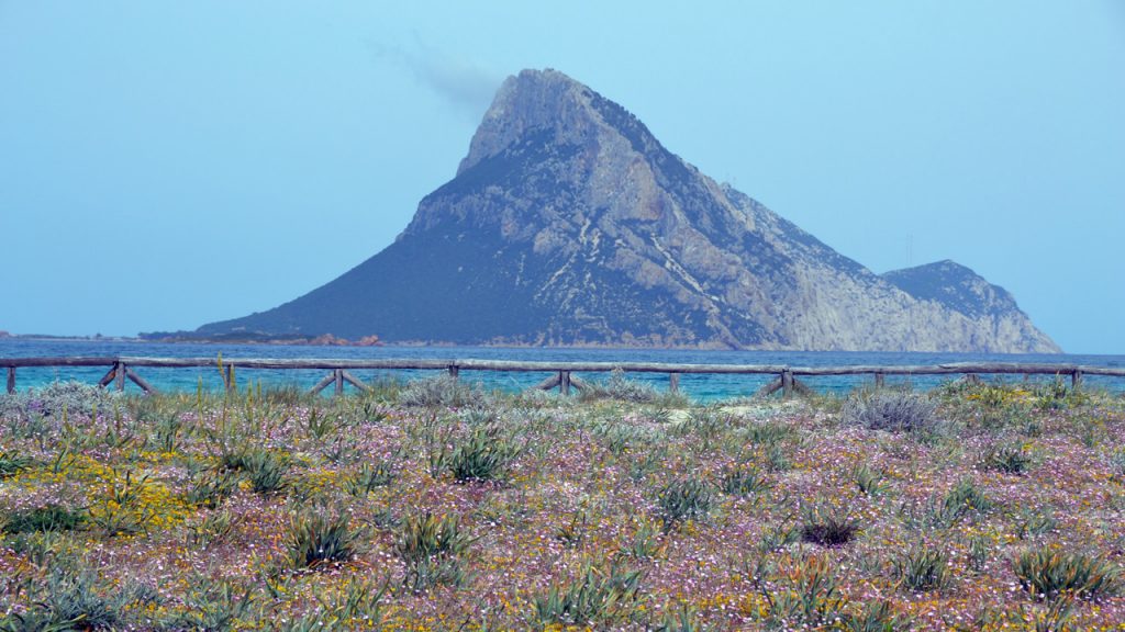 sardinia