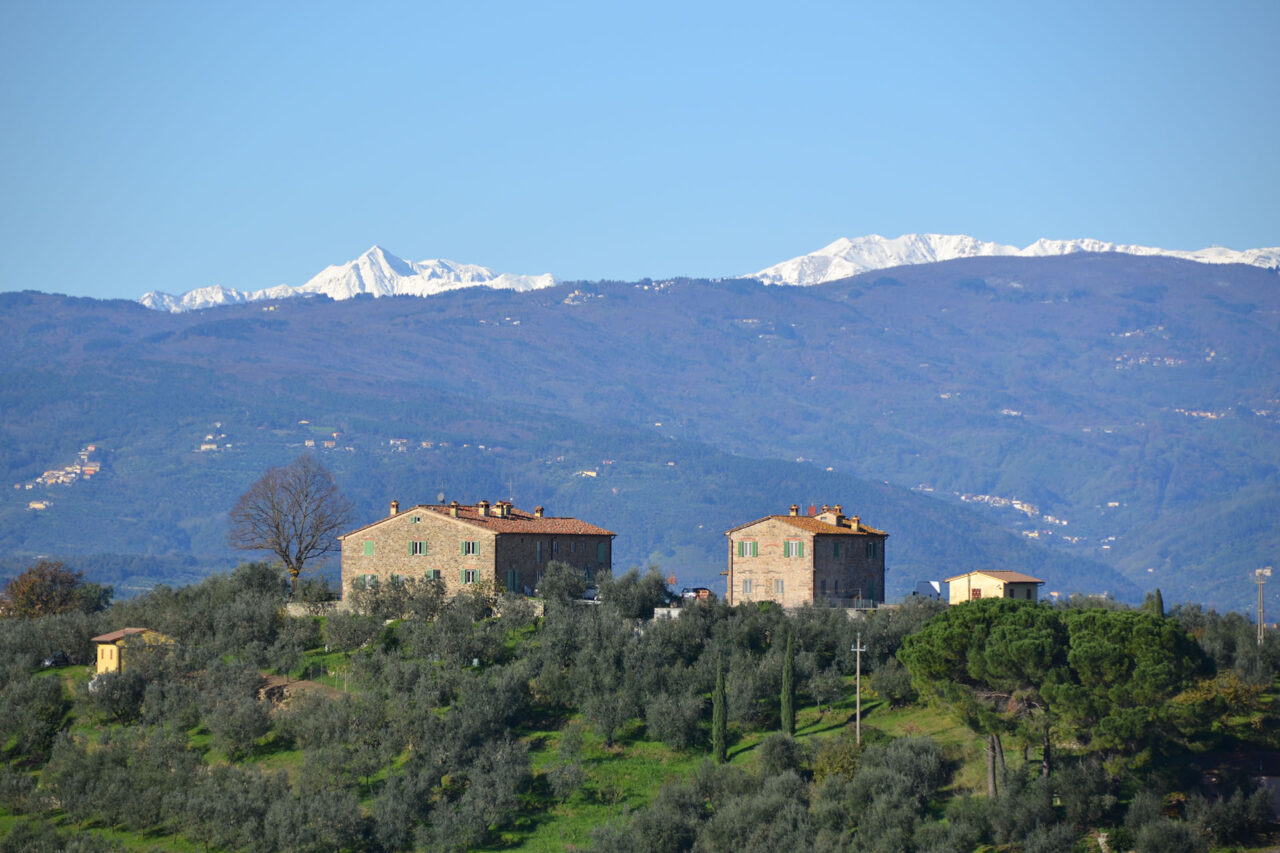 Montemagno, Tuscany Day Hike Poggio del Monte to Artimino Part 2